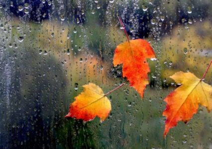Осенние дожди5 (7)