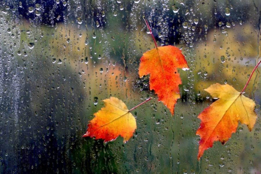 Осенние дожди